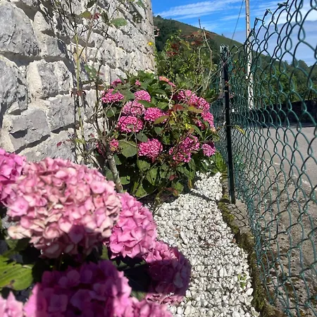 Chalet Vete Polo Segau, Seguencu