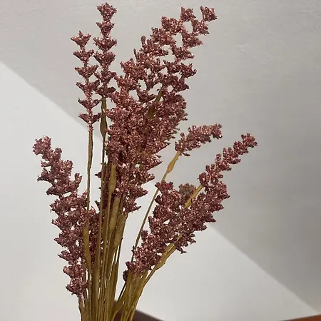 Chalet Vete Polo Segau, Seguencu *